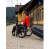 Handbike Klick Carbon Standard - 3821 € Handbike Klick Carbon Standard - Rehagirona